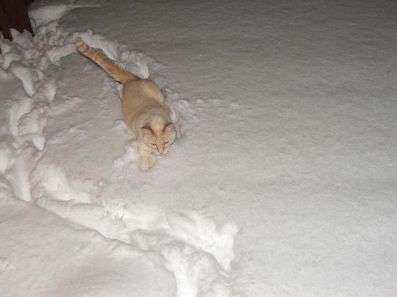 march 2009 ski trip 026.jpg